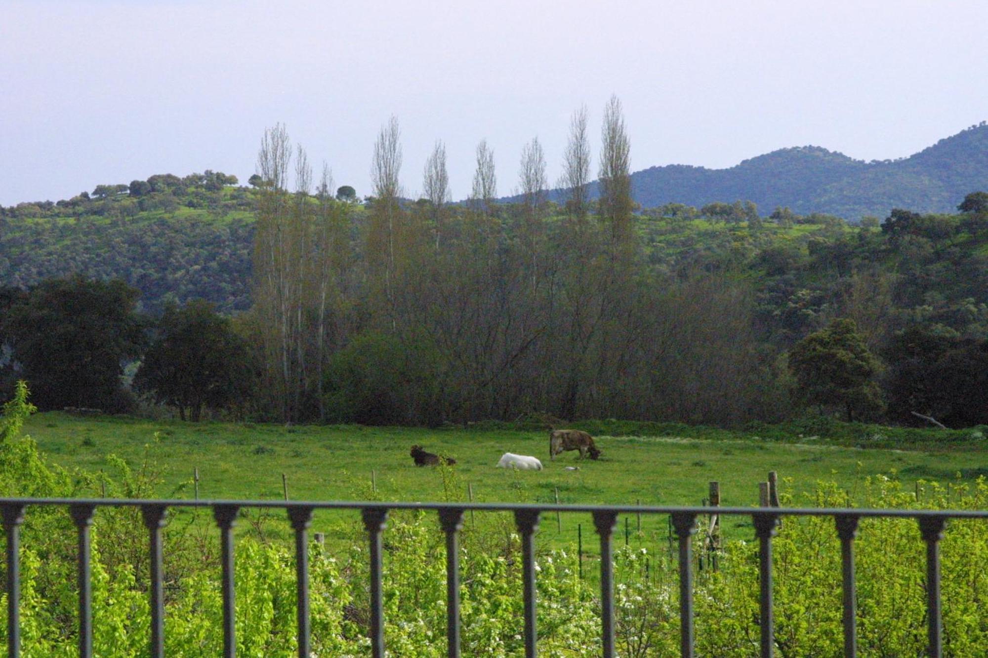 Las Navezuelas Cazalla de la Sierra Extérieur photo